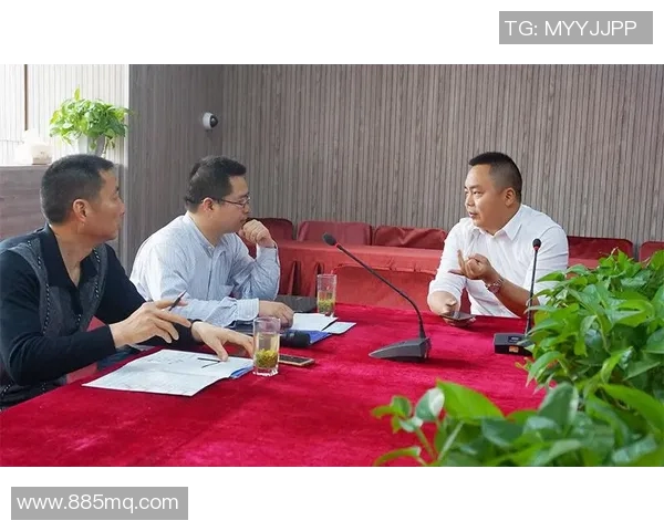 深圳羽毛球队灵活性分析与战术调整的深度探讨