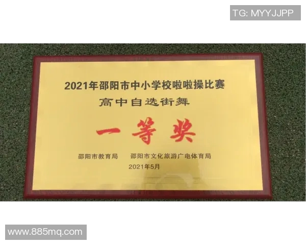 全国街舞大赛点评西安街舞队实力展现引发热议与关注